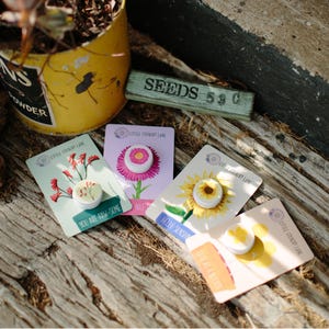 Seed Card
