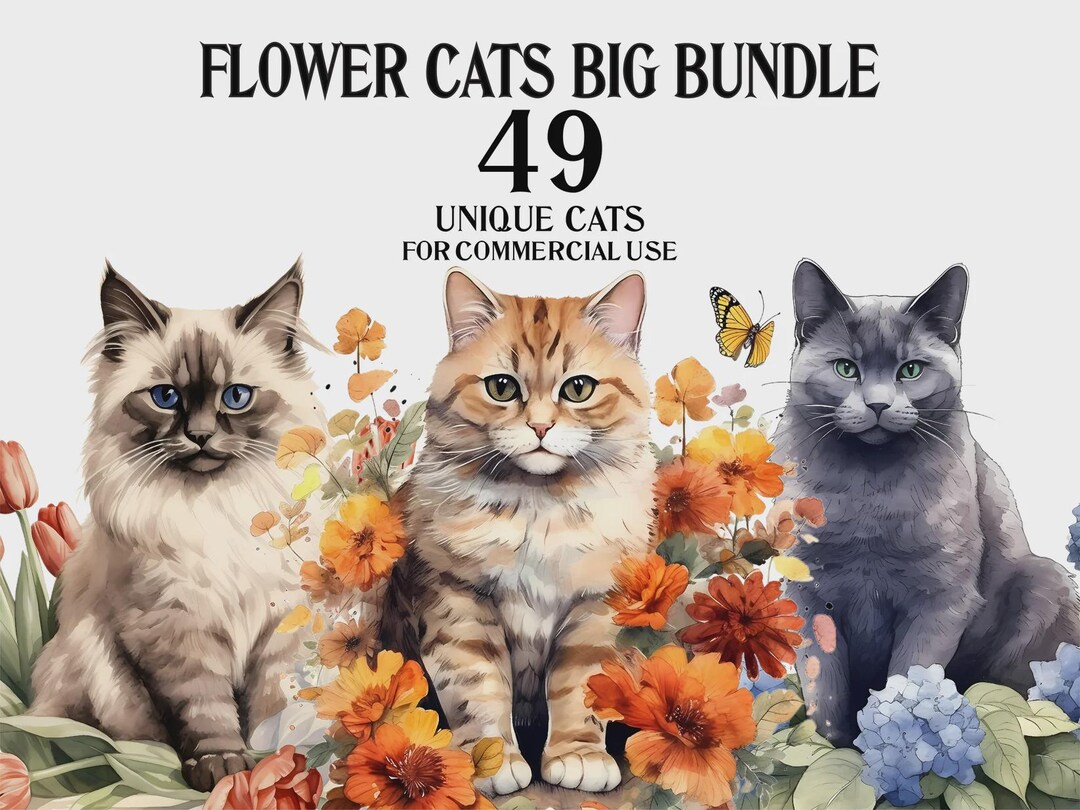 Floral Cat Clipart Bundle PNG | Watercolor Kitten Digital Download ...