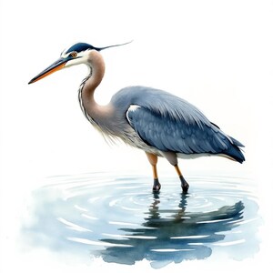 20 Blue Heron Bird Clipart, Nature Wildlife, High Quality JPGs, Printable Watercolor Art, Digital Download, Paper Craft, Junk Journal
