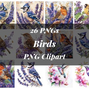 26 Watercolor Birds Clipart, Bird PNG Bundle, Cute Bird Illustrations, Watercolor Animal Art, Printable Bird Clipart, High Quality PNGs V129
