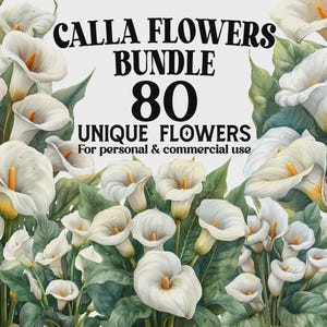 Puede incluir: Un paquete de arte digital con 80 flores de cala únicas. La imagen muestra una variedad de calas blancas y amarillas con follaje verde. El texto dice "CALLA FLOWERS BUNDLE 80 UNIQUE FLOWERS For personal & commercial use."