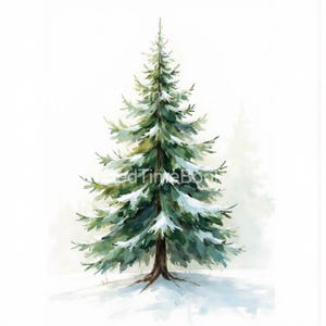 Op de afbeelding: Waterverfschilderij van een met sneeuw bedekte groenblijvende boom. De boom is heldergroen met witte sneeuwaccenten, tegen een zachte, witte achtergrond. De stam van de boom is donkerbruin en de grond is bedekt met sneeuw.