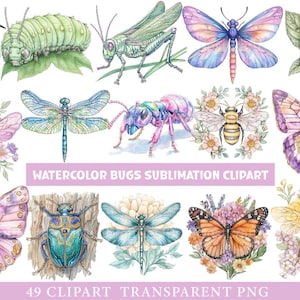 49 Watercolor Bugs Clipart, Insect PNG Bundle, Butterfly Beetle Dragonfly Art, Handpainted Bug Illustration, Printable Bug Clipart V137