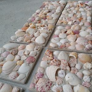 Coastal Decor, Shell Tiles, Fireplace Tiles, Sea Shells, Decorative Tiles, Beach Wedding Decor, Tabby, 6&quot; x 6&quot; Tumbled Stone