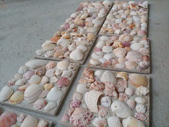 Coastal Decor Shell Tiles Fireplace Tiles Sea Shells Etsy