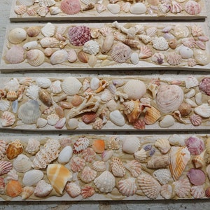 Seashell Mosaic Tile: Coastal Decor, Fireplace Accent (3" x 12 1/4")