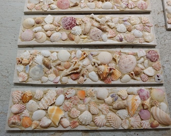 Coastal Decor, Mosaic Tiles, Shell Tiles, Fireplace Tiles, Sea Shells, Decorative Tiles, Bathroom Tile, Tabby, 3" x 12 1/4" Tumbled Stone