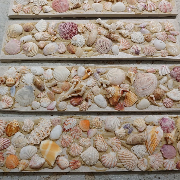 Coastal Decor, Mosaic Tiles, Shell Tiles, Fireplace Tiles, Sea Shells, Decorative Tiles, Bathroom Tile, Tabby, 3" x 12 1/4" Tumbled Stone