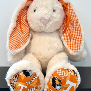 College bunnies