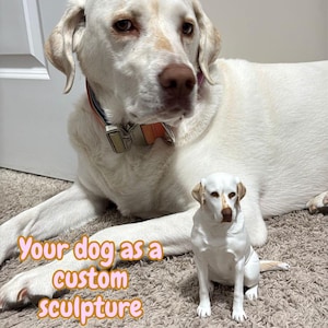 May include: A white Labrador Retriever dog and a custom sculpture of the dog are shown. The sculpture is a smaller replica, with similar coloring and markings. The image includes the text "Your dog as a custom sculpture".