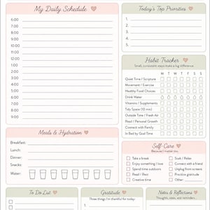 May include: A daily schedule planner sheet with a white background, featuring sections for date, weather, mood, daily schedule, priorities, habit tracker, meals, hydration, to-do list, gratitude, and notes, with pink and sage green accents.