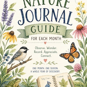 Op de afbeelding: Een Nature Journal Guide for Each Month boekomslag met aquarelillustraties van een zon, libel, bloemen, een mees, een kikker, een monarchvlinder, een slak en een open dagboek met een tekening van een blauwe gaai en een blad.