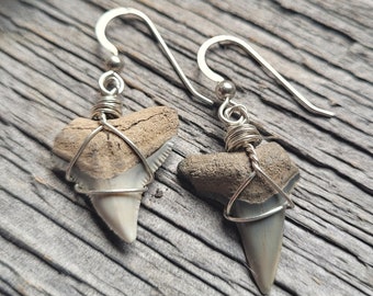 Sterling Silver Shark Teeth Earrings