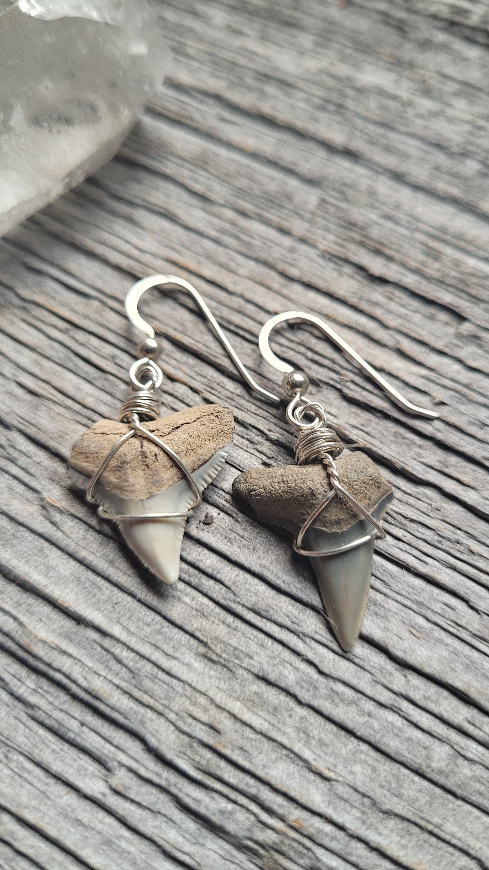 Shark Tooth Stainless Steel Earrings Svaha USA