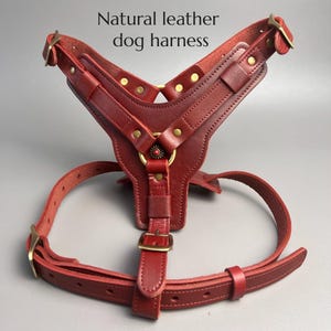 Handmade red genuine leather dog harness luxurious leather dog chain vintage natural cowhide dog walking for large and medium-sized dogs