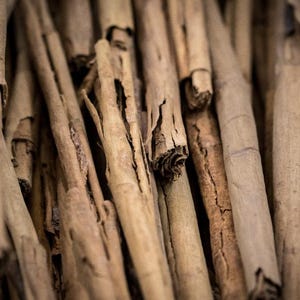 Cinnamon Bark Oil Natural - 4ml