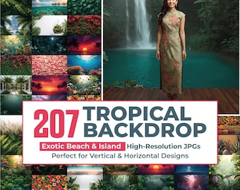 Paquete de 207 imágenes JPG de fondo tropical, escenas oceánicas con palmeras, fondo tropical de verano, fondo de playa de verano, fotografía de estudio de verano en la playa.