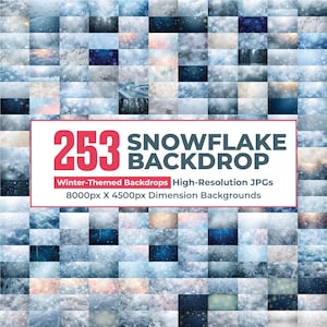 253 Icy Snowflake Winter Backdrop Bundle, Winter Snow Background, Snowy Forest Background, White Snow Flakes, Winter Snowflake Overlays