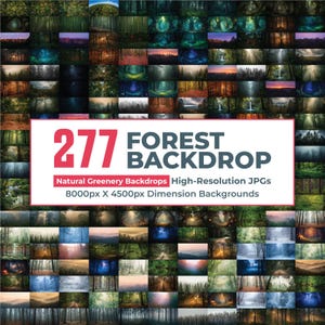 277 Green Summer Forest Backdrops, Spring Background, Forest Photography, Deep Forest, Forest Tree Backdrop, Grass, Trees, Summer Greenery