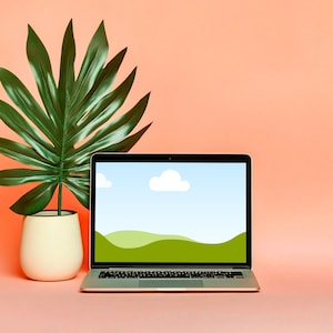 May include: A silver laptop displaying a landscape image is positioned on a peach surface. Beside it, a green leafy plant is in a cream-coloured pot. The background is a solid peach colour.