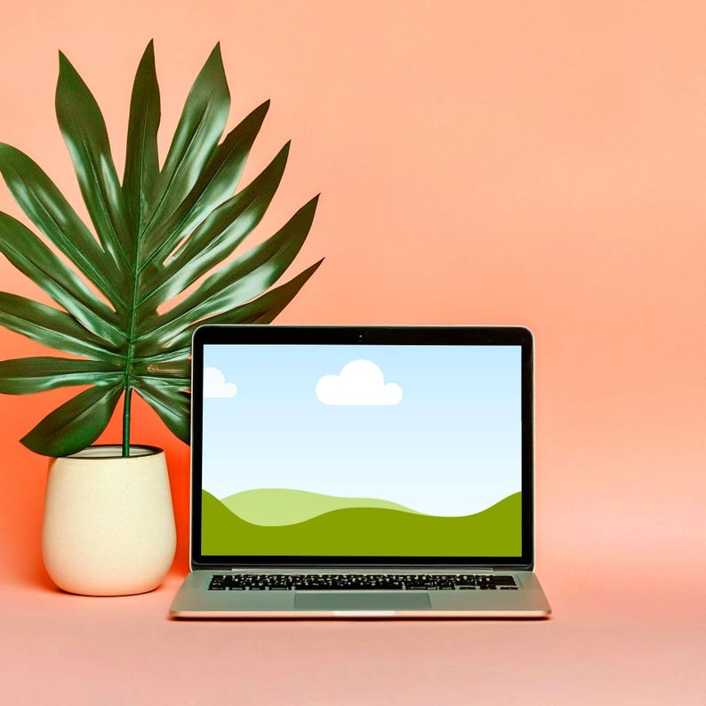 May include: A silver laptop displaying a landscape image is positioned on a peach surface. Beside it, a green leafy plant is in a cream-coloured pot. The background is a solid peach colour.
