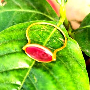 May include: A gold-colored ring with a red oval-shaped stone, set against a vibrant green leaf. The ring's design features a unique, flowing shape, creating a striking contrast with the natural background. The ring is a piece of jewelry.