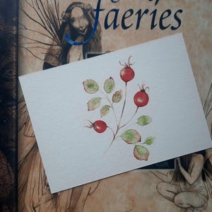 Hagebutte original Postkarte, Blumenbild, botanische Kunst, Aquarell Fine Art Aquarell, hochwertige Druckqualität, 10×15 cm