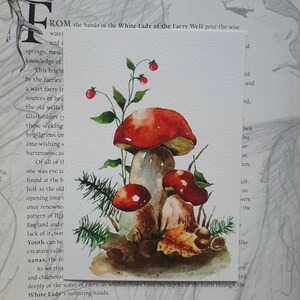 Pilze, original Postkarte, Aquarell Fine Art Aquarell, hochwertiger Qualitätsdruck, Designerpapier Tintoretto, 10×15cm