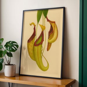 Carnivorous Plant Wall Art | Nepenthes Botanical Poster | Tropical Nature Print | Elegant Green Home Decor