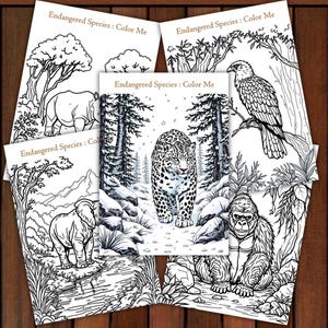 May include: A collection of coloring books featuring endangered species. Each book displays a different animal, including a rhino, elephant, gorilla, eagle, and leopard. The text "Endangered Species: Color Me" is printed on each cover.