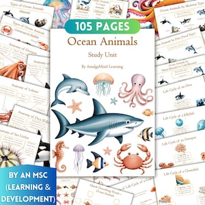 Op de afbeelding: Een 105 pagina's tellend educatief werkboek over zeedieren door Amalgamind Learning. De kaft bevat kleurrijke illustraties van een haai, dolfijn, octopus, kwal, zeepaardje, krab en zeester op een witte achtergrond.