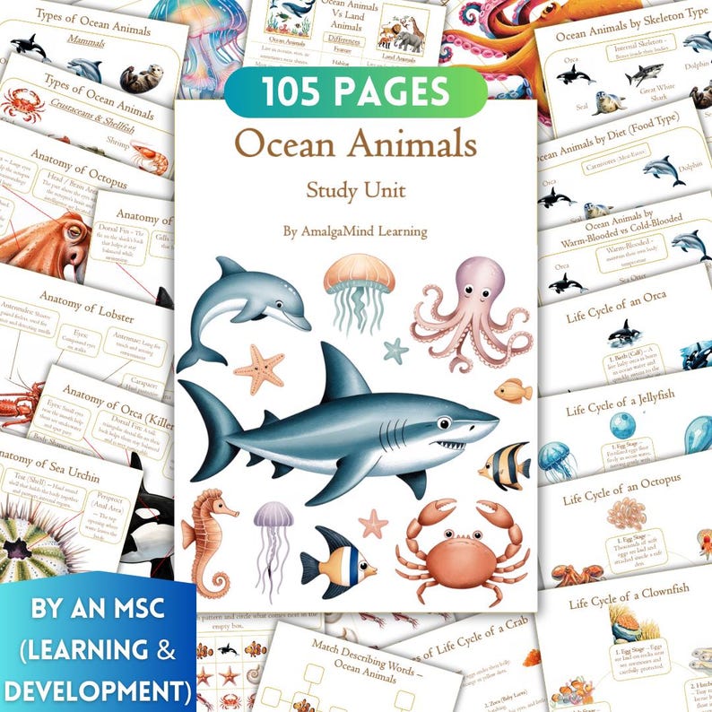 Ocean Animals, Sea Animals Unit Study Printable, Montessori Homeschool ...