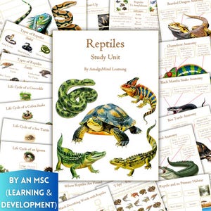May include: A collection of educational materials featuring reptile illustrations. The central piece is a study unit titled "Reptiles" with various reptile species depicted, including snakes, turtles, and crocodiles. Additional cards detail anatomy and life cycles.