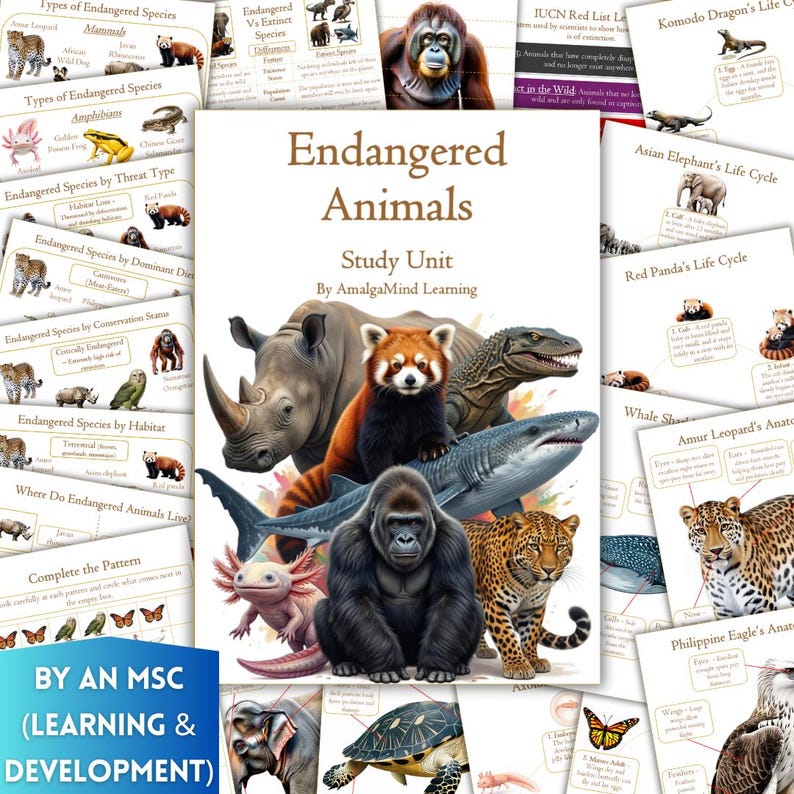 May include: A collection of educational materials about endangered animals. The central image features a variety of animals, including a rhino, red panda, gorilla, and shark. The title "Endangered Animals Study Unit" is displayed prominently, with additional informational pages.