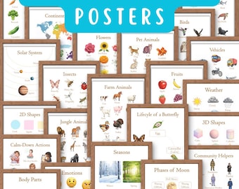 Toddler Learning Posters | Homeschool Educational Prints (Digital Download)