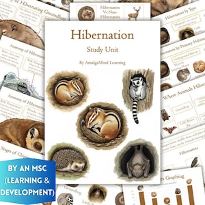 Unité d'étude sur l'hibernation | Animaux de l'hiver, Sommeil hivernal, Anatomie, Nature, Sciences à la maison pour les enfants, Cartes flash Montessori, Téléchargement immédiat
