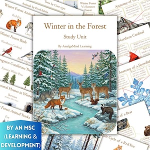 Winter Forest Unit Study Worksheets, Winter Animals, Birds, Evergreens, Snowflake, Animal Home, Homeschool, Montessori Printables, Busy Book