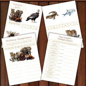 May include: Educational activity sheets featuring endangered species. Includes word games, beginning sounds, and a name scramble. Animals include a leopard, elephant, rhino, and red panda. The sheets are printed on white paper.