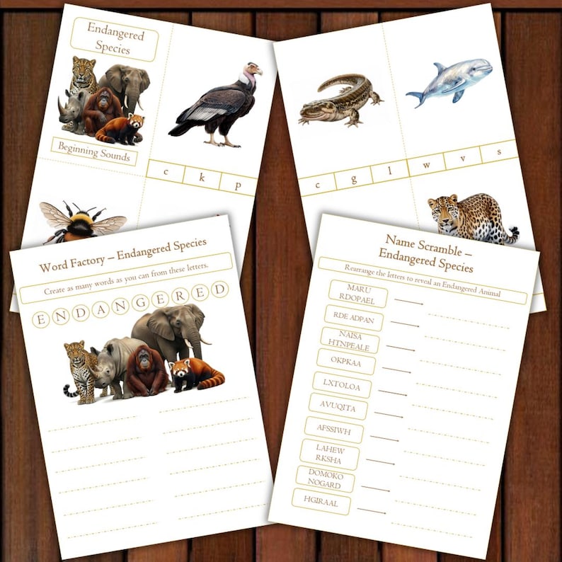 May include: Educational activity sheets featuring endangered species. Includes word games, beginning sounds, and a name scramble. Animals include a leopard, elephant, rhino, and red panda. The sheets are printed on white paper.
