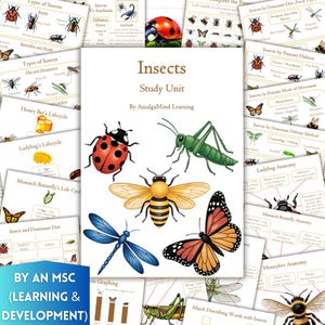Puede incluir: Material educativo sobre insectos. La imagen principal muestra varios insectos, incluyendo una mariquita, una abeja, una libélula, un saltamontes y una mariposa. El texto "Insects Study Unit" es visible.