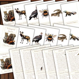 May include: Educational flashcards featuring endangered species, including a Komodo Dragon, Asian Elephant, and Red Panda. The cards are white with colorful illustrations and text, designed for learning about wildlife.