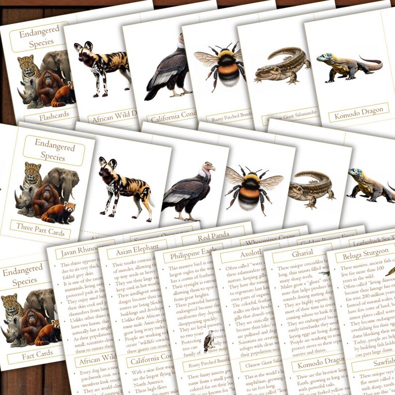 May include: Educational flashcards featuring endangered species, including a Komodo Dragon, Asian Elephant, and Red Panda. The cards are white with colorful illustrations and text, designed for learning about wildlife.