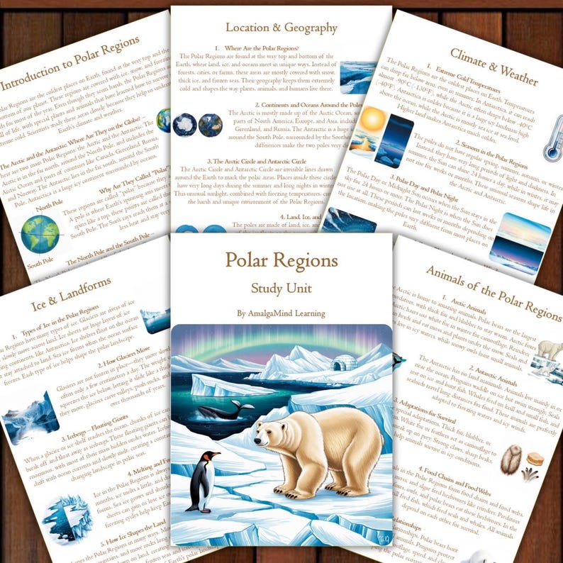 Polar Regions Arctic, Antarctic Unit Study, Polar Animals, Polar Bear ...