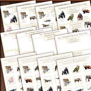 May include: A collection of educational cards featuring endangered species. The cards are categorized by habitat, conservation status, dominant diet, and threat type. Each card includes illustrations of animals like leopards, gorillas, and rhinos.