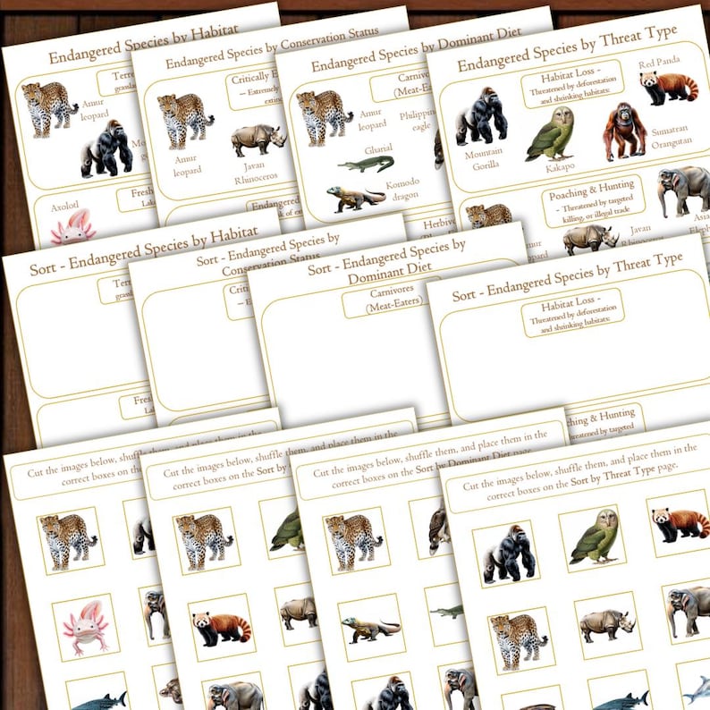 May include: A collection of educational cards featuring endangered species. The cards are categorized by habitat, conservation status, dominant diet, and threat type. Each card includes illustrations of animals like leopards, gorillas, and rhinos.