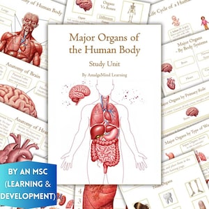 人体ユニット学習、人体臓器、人体解剖学、心臓解剖学、脳解剖学、ライフサイクル、モンテッソーリ、ホームスクール科学デジタルダウンロード