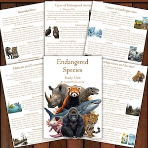May include: A study unit titled "Endangered Species" with illustrations of various animals, including a rhino, red panda, gorilla, and shark. Accompanying pages detail habitats, causes of endangerment, and adaptations.