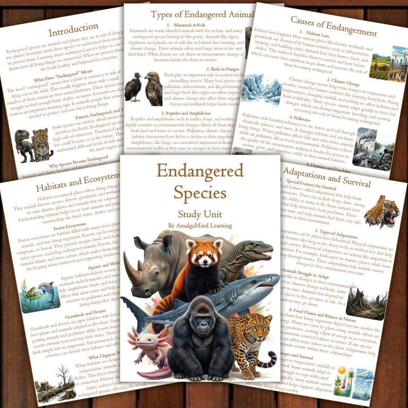 May include: A study unit titled "Endangered Species" with illustrations of various animals, including a rhino, red panda, gorilla, and shark. Accompanying pages detail habitats, causes of endangerment, and adaptations.