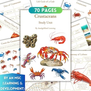 Crustaceans Unit Study Worksheets, Marine Life, Anatomy, Crab, Life Cycle, Montessori Flashcards, Kid Busy Book Homeschool, Nature Printable