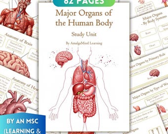 Human body unit study worksheets, human organs, human anatomy, Heart, Brain anatomy, lifecycle, Montessori, Homeschool Printable, busy book